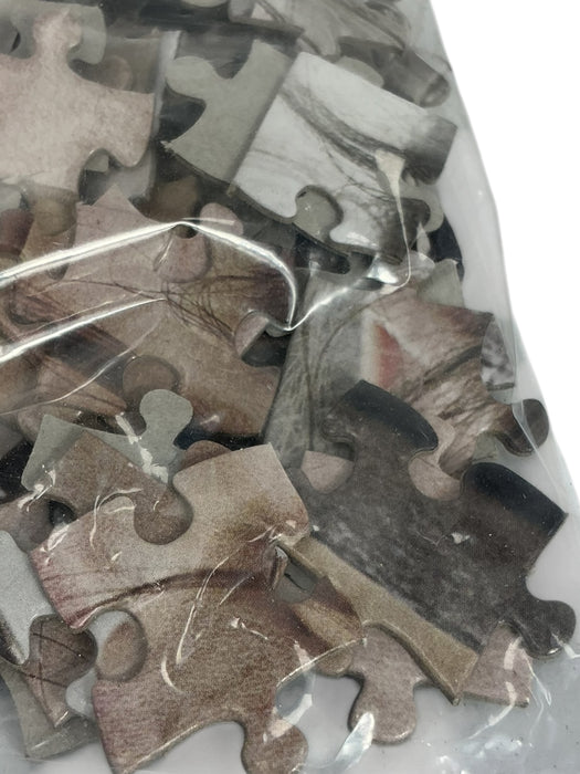 Set de rompecabezas (STAR WARS)