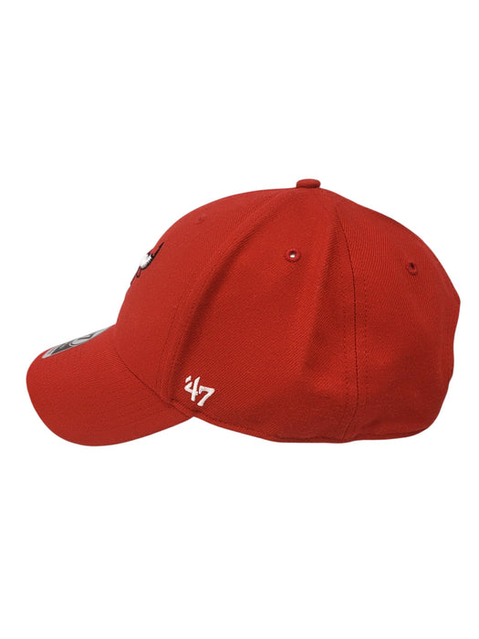 Gorra (47)