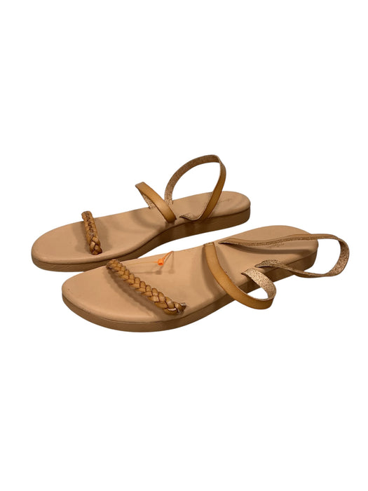 Sandalia 6 (UNIVERSAL TREAD)
