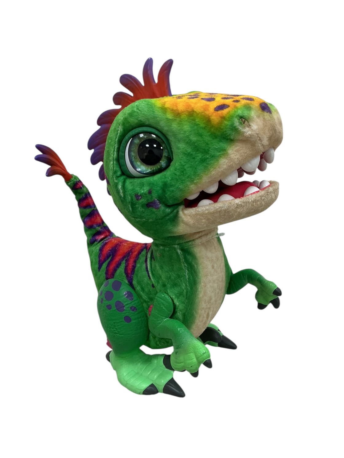 Munchin Rex (FURREAL)