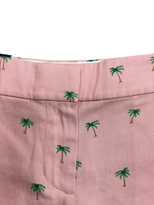 Short 2 (J. CREW)