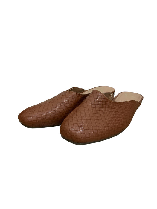Zapato 8