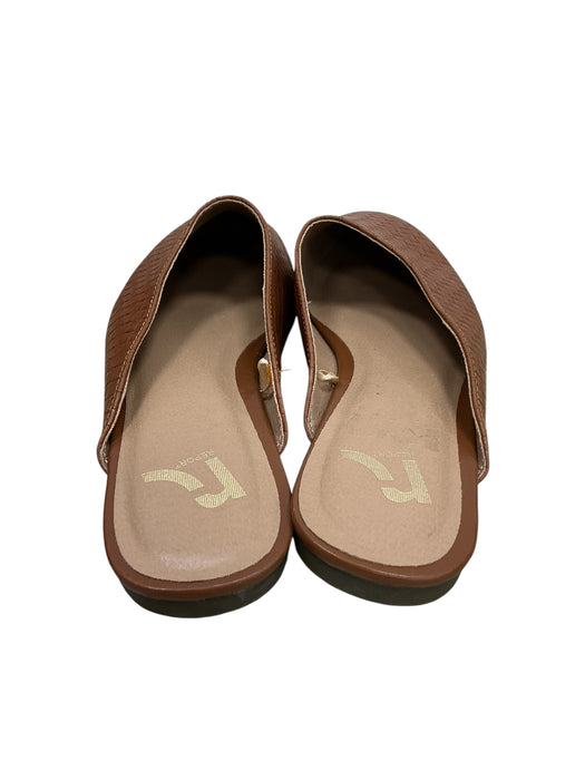 Zapato 8