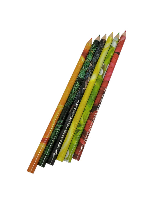 Set crayones (LIFELINES)
