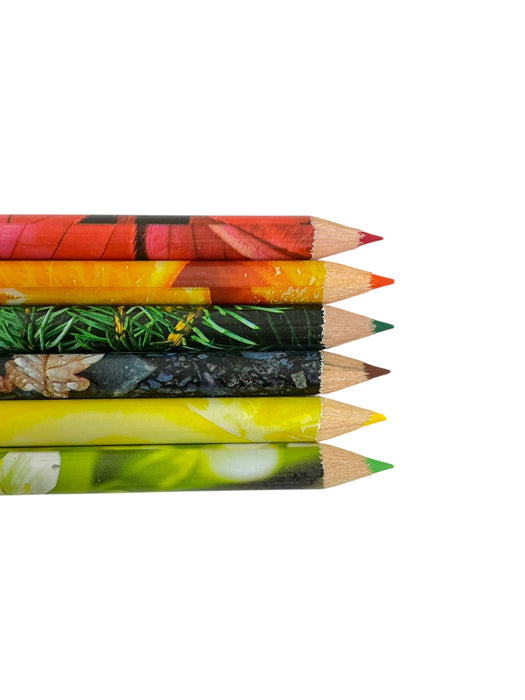 Set crayones (LIFELINES)