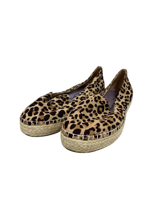 Plataforma 9 (DR SCHOLL'S)