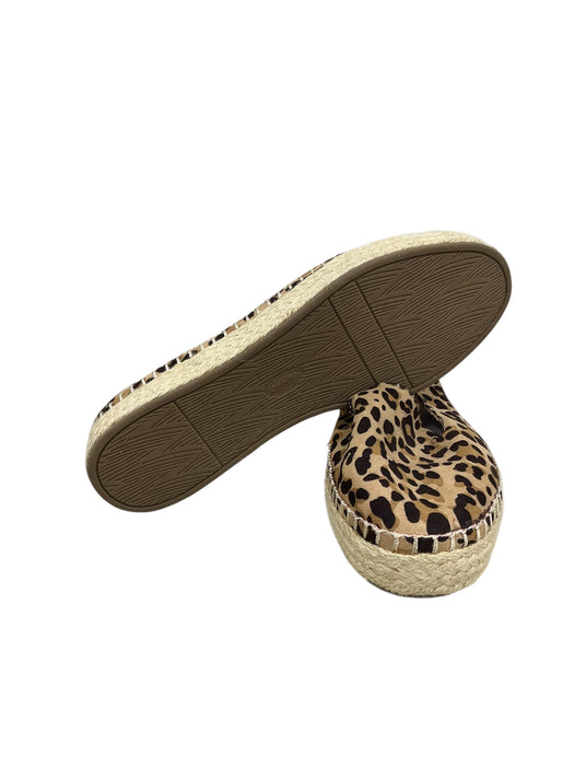 Plataforma 9 (DR SCHOLL'S)