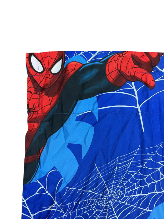 Cortinas de Spider-Man (JAY FRANCO)
