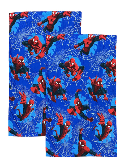 Cortinas de Spider-Man (JAY FRANCO)