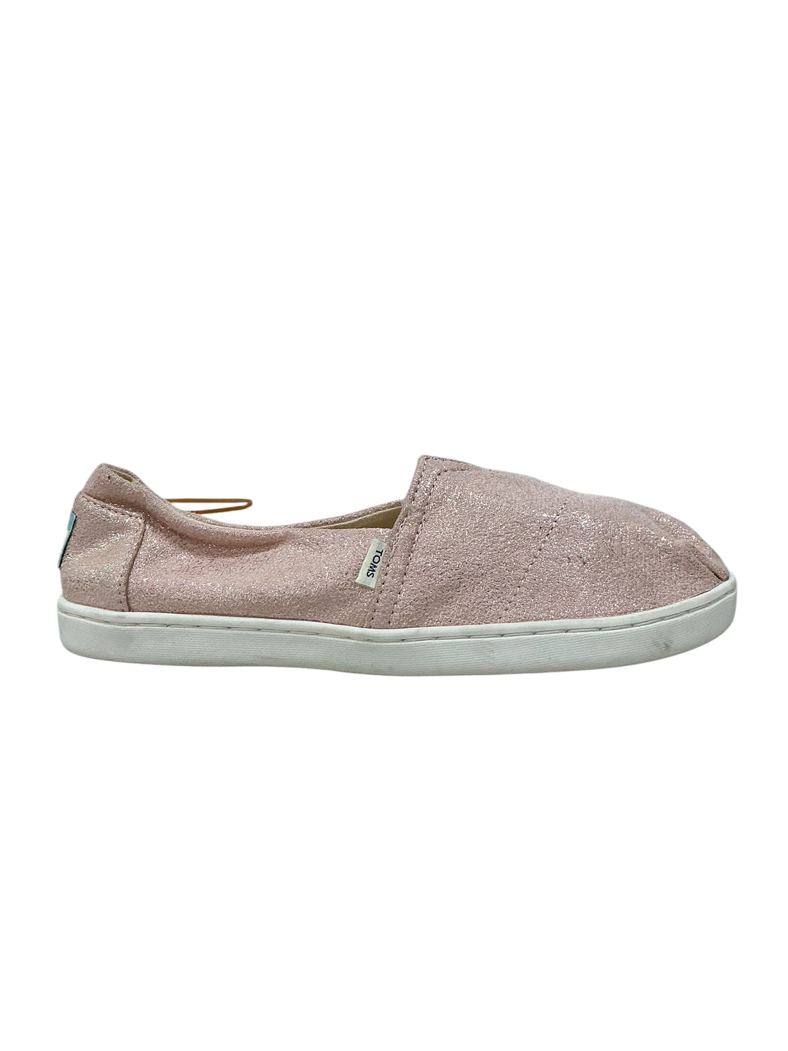 Zapato 2 (TOMS)