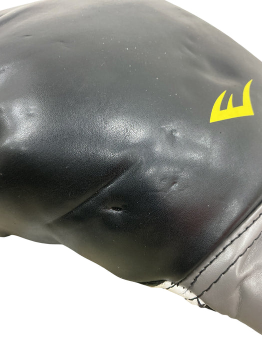 Guantes de boxeo (EVERLAST)