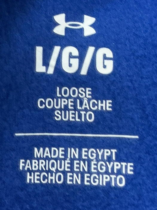 Sudadero L (UNDER ARMOUR)