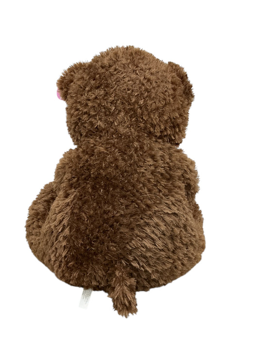 Oso de Peluche (PLAY RIGHT)