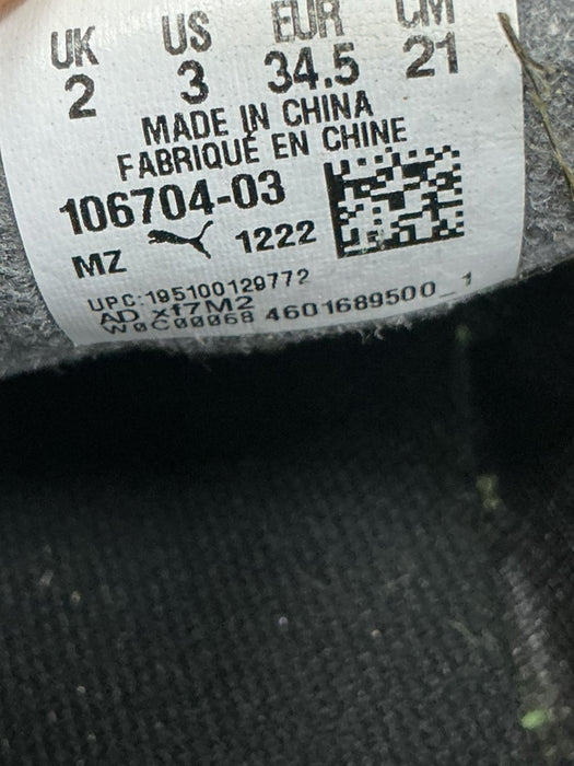 Tenis Deportivos 3Y (PUMA)