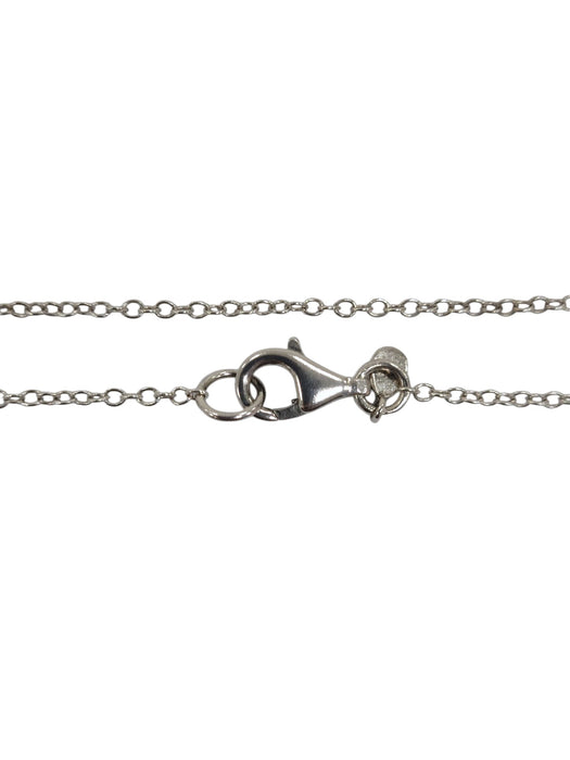 Cadena de plata (925)