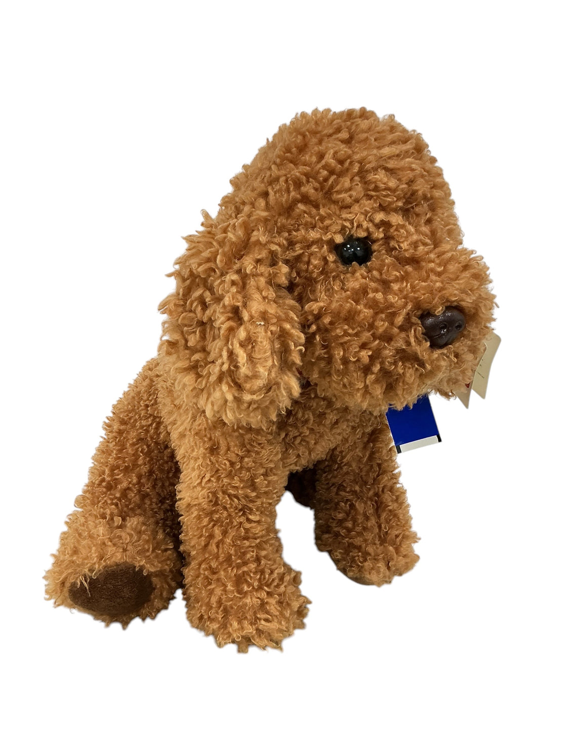Cachorro