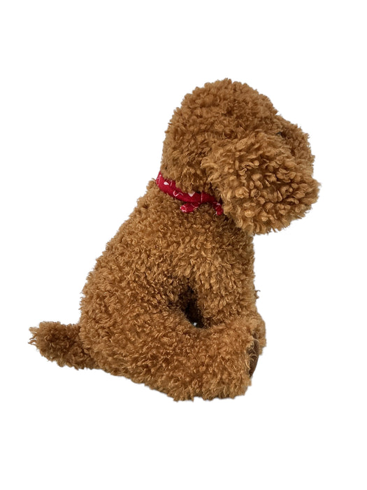 Cachorro