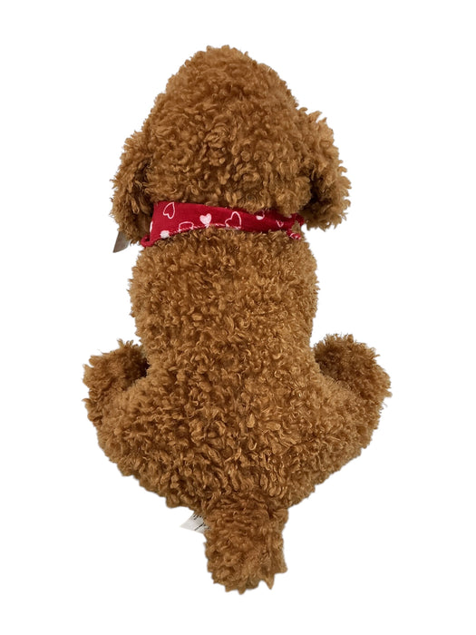 Cachorro