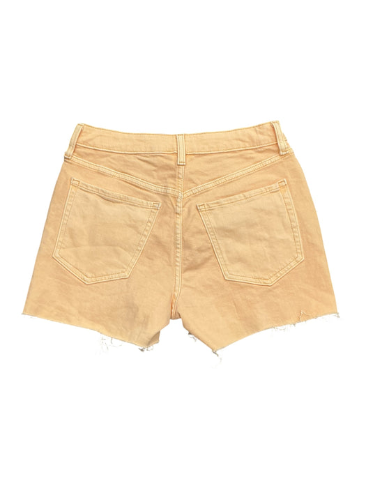 Short 6 (OLD NAVY)