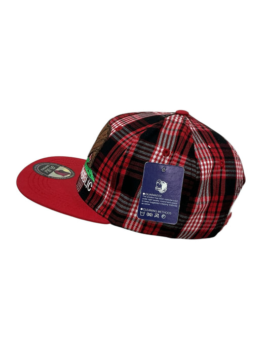Gorra (PIT BULL)