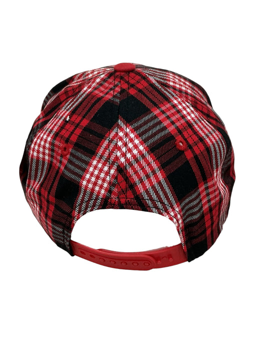 Gorra (PIT BULL)