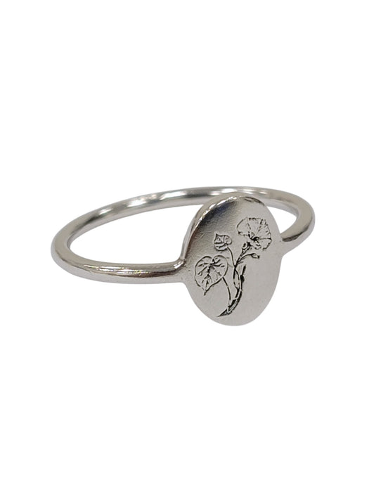 Anillo de Plata (925)