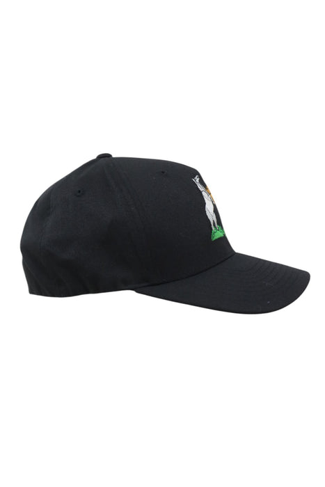 Gorra (FLEXFIT