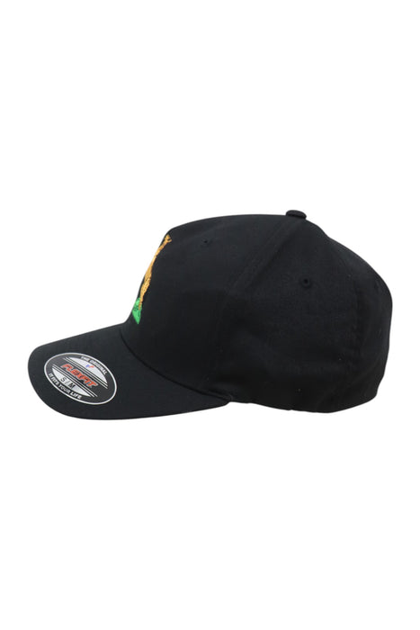 Gorra (FLEXFIT