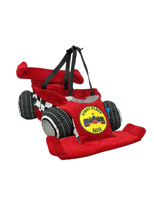 Disfraz de carro