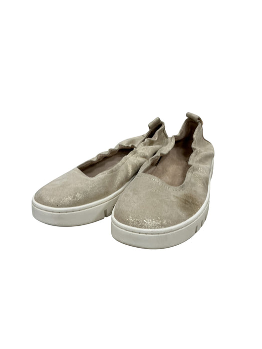 Zapato 8.5 (VINCE)