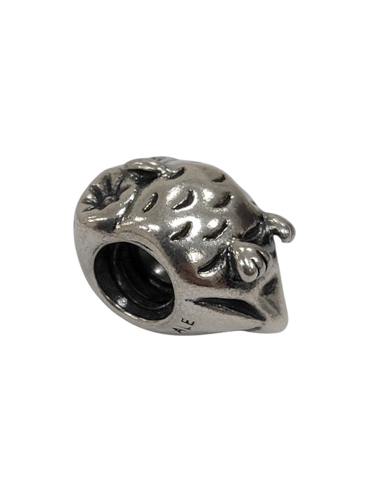 Dije de plata 925 (PANDORA)