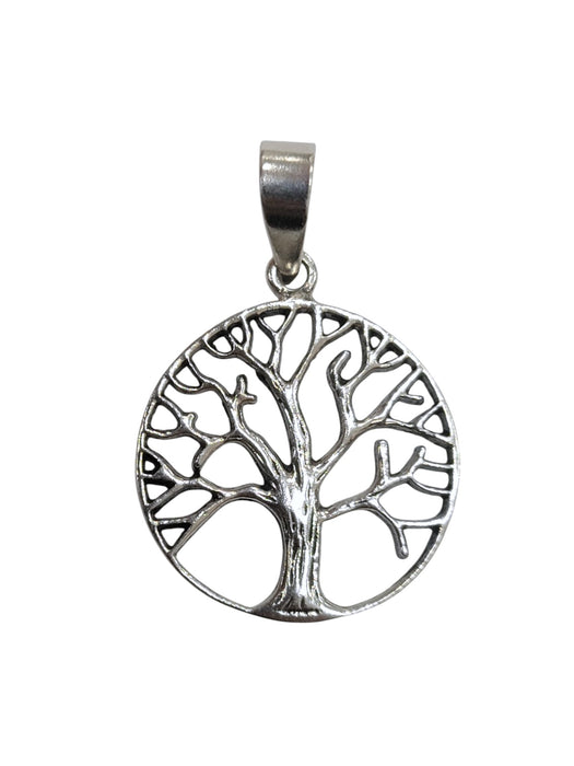 Dije de plata (925)