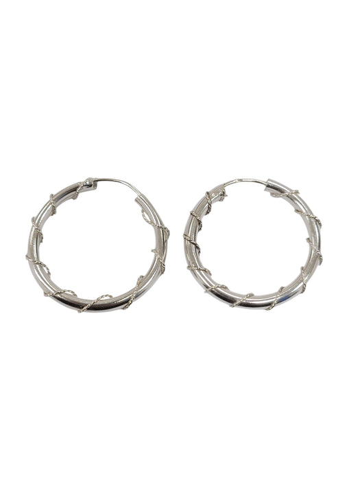 Aretes de plata