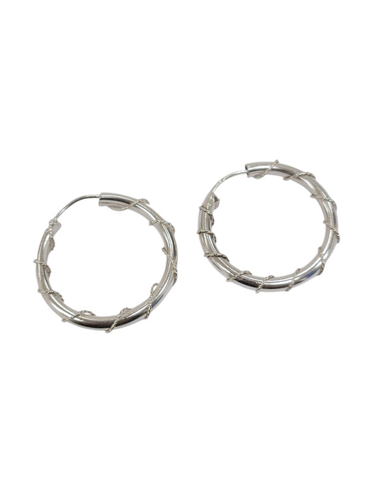 Aretes de plata