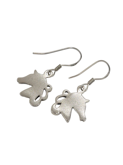 Aretes de plata (925)