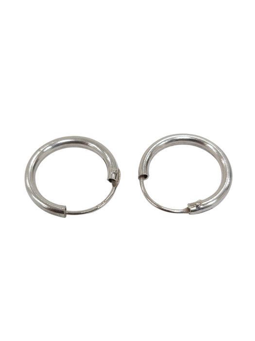 Aretes de plata