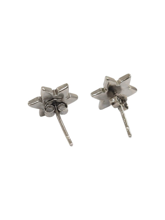 Aretes de plata (925)