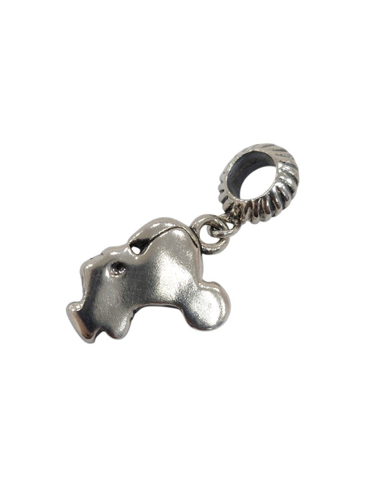 Dije de plata (925)