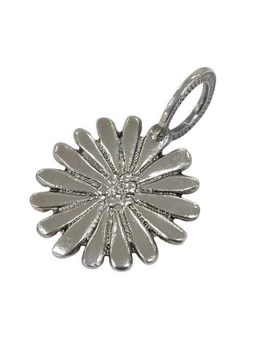Dije de plata (925)