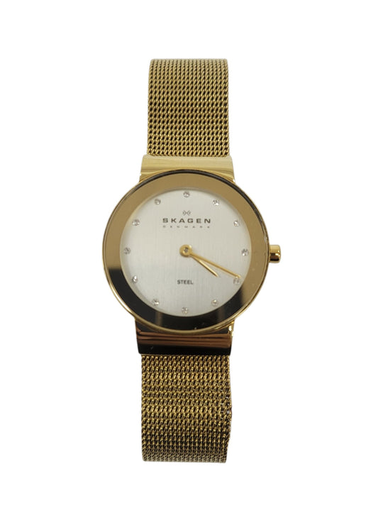 Reloj (SKAGEN)