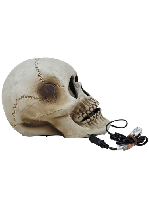 Calavera eléctrica