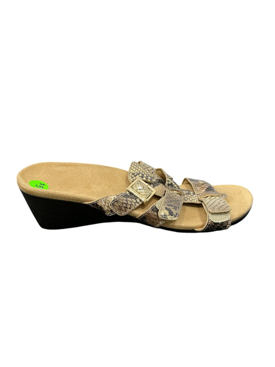 Plataforma 5 (VIONIC)