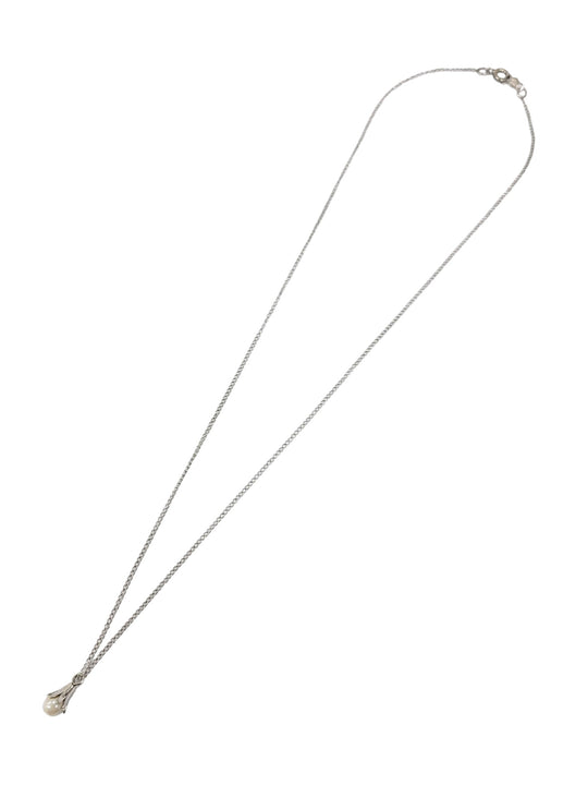 Cadena de plata  (925)
