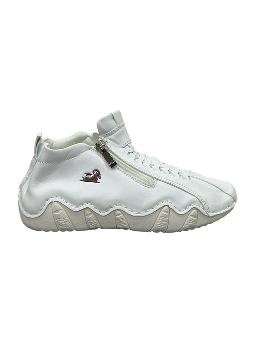 Tenis