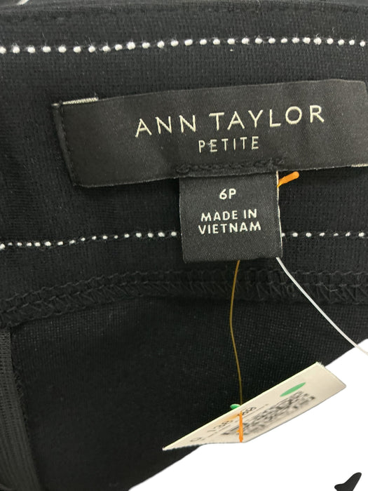 Falda 6P (ANN TAYLOR)