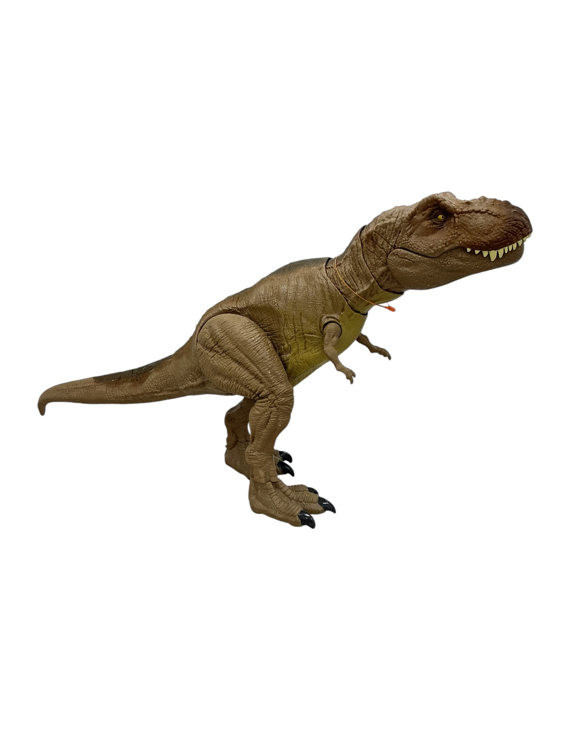 Tiranosaurio rex