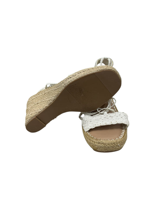 Plataforma 9 (AMERICAN EAGLE)