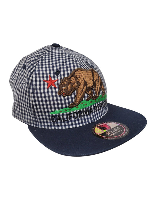 Gorra (PIT BULL)