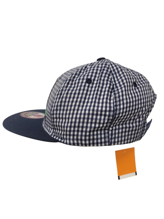 Gorra (PIT BULL)