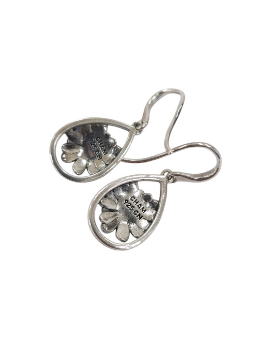 Aretes de plata (925)